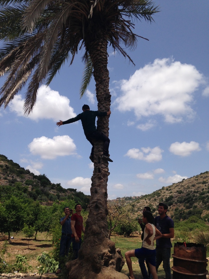 Boys being boys in Wadi Qana